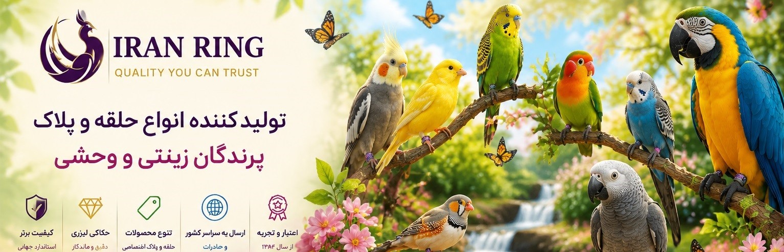 ایران رینگ
